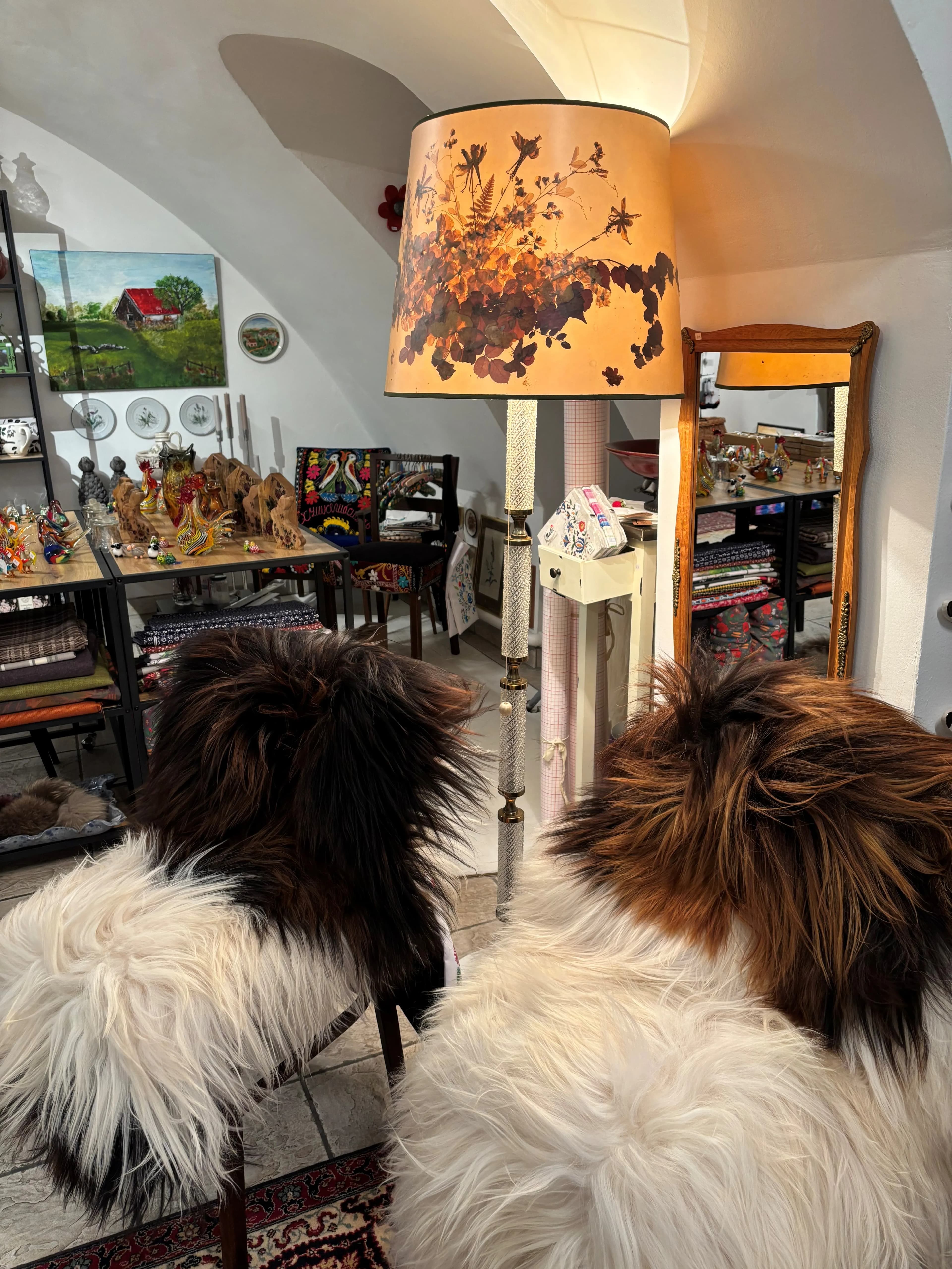 Gotlandschaffell und Islandschaffell kaufen – Exklusive Felle in der Altstadt Linz